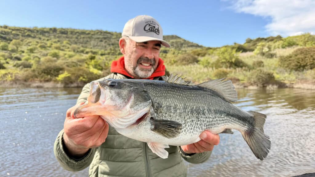 mega blackbass