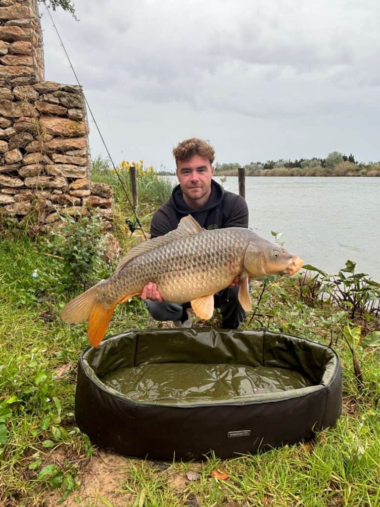 zeer grote karper uit de Ebro