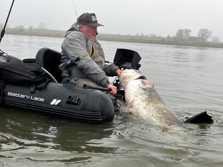 Een visser in een bellyboat houdt een grote meerval vast