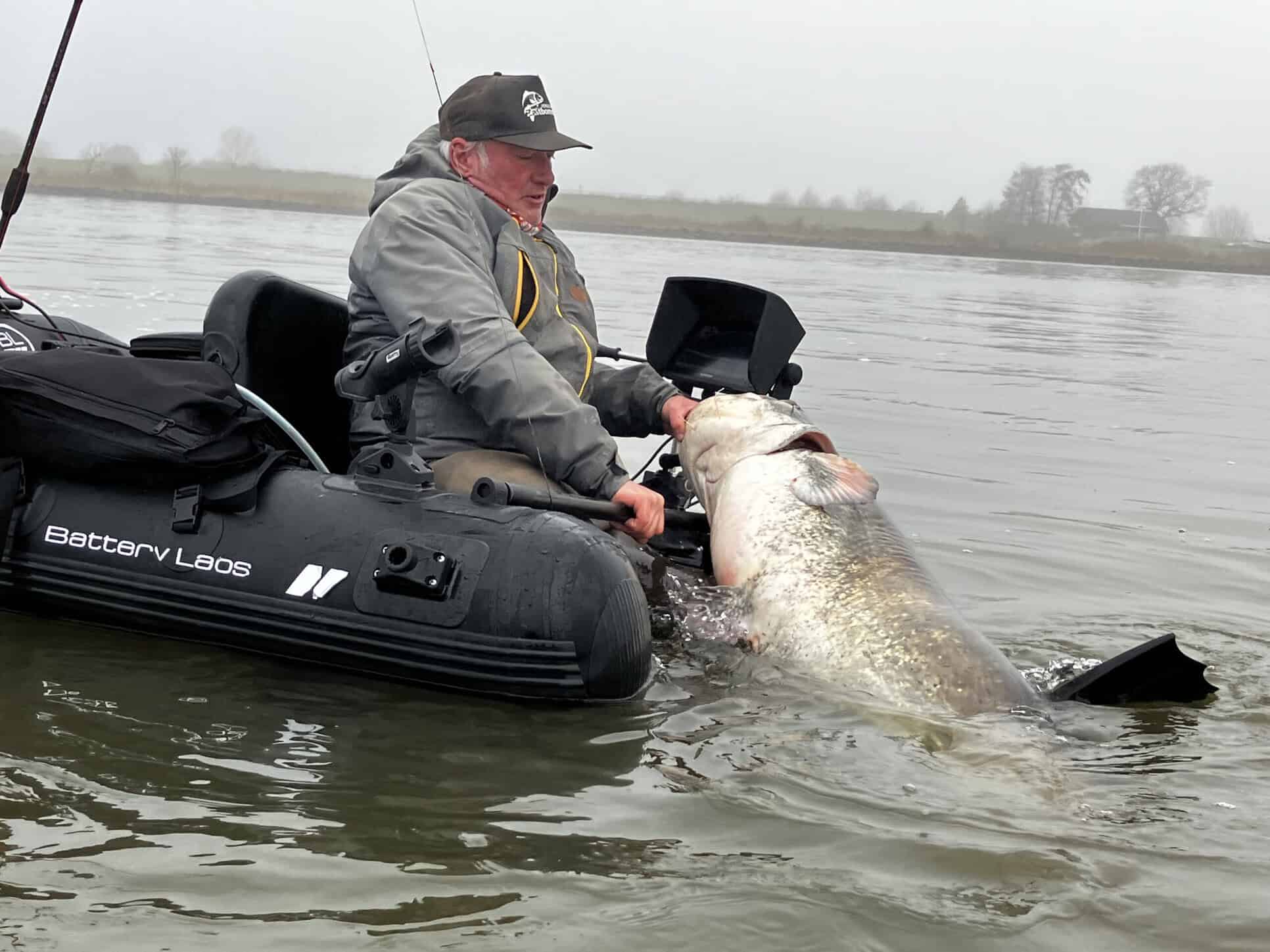 Een visser in een bellyboat houdt een grote meerval vast