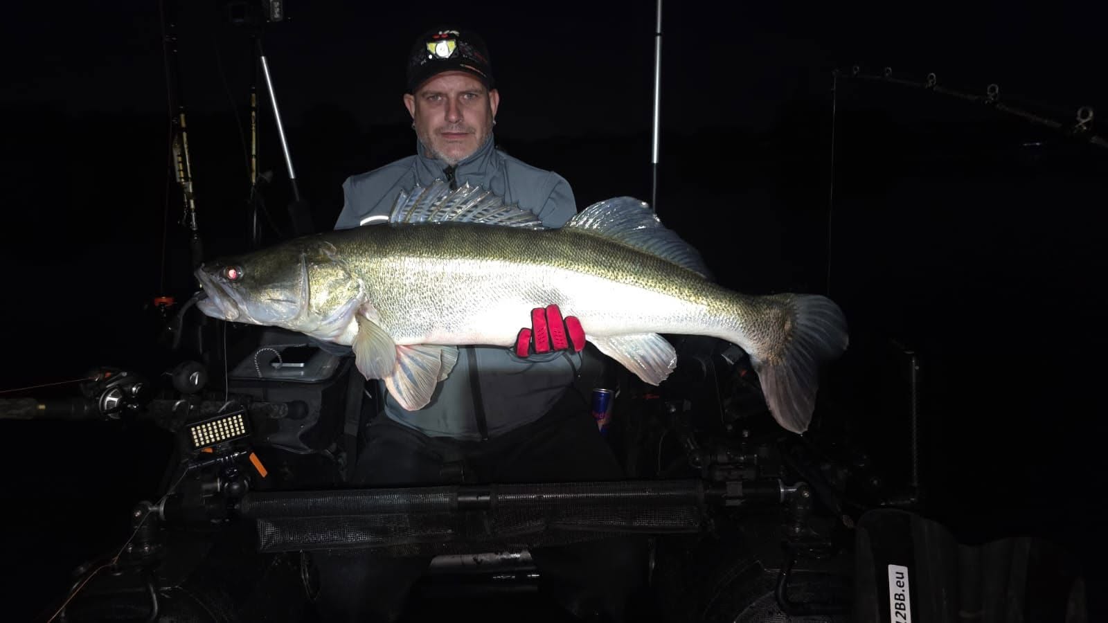 Grote snoekbaars