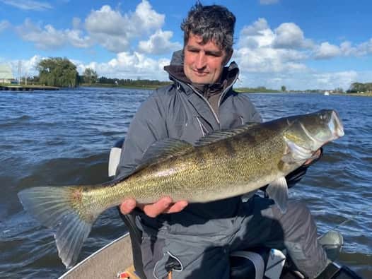 Grote snoekbaars